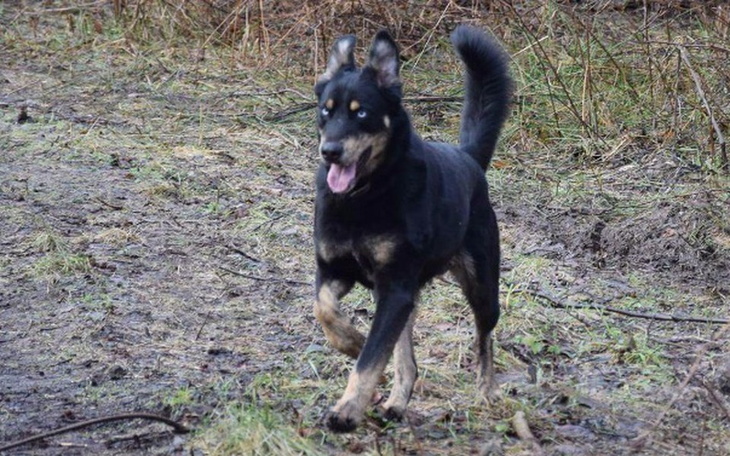Zbiórka SYLAR zbiera na pobyt w Hotelu - zdjęcie główne