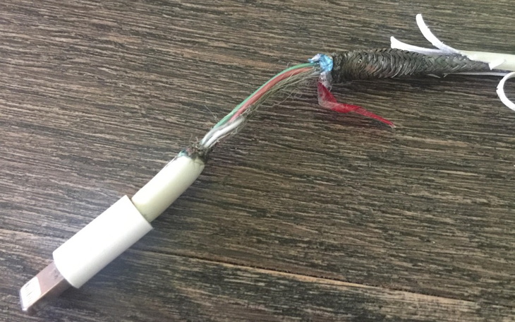 Zbiórka na kabel dla maksa m - zdjęcie główne