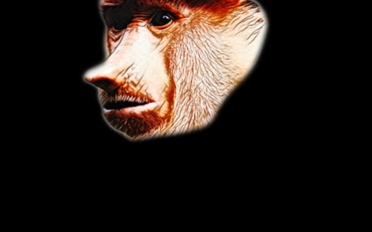 Zbiórka mam horom curke - zdjęcie główne