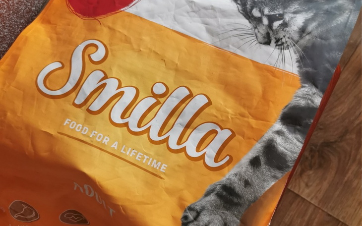 Zbiórka Jedzenie dzikim kotom - zdjęcie główne