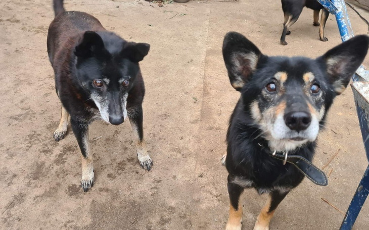 Zbiórka Teraz to zbiórka na przetrwanie. - zdjęcie główne