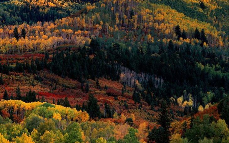 Zbiórka Wyjazd do niemiec - zdjęcie główne