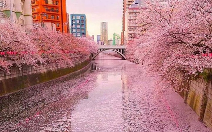 Zbiórka Lepsze życie moje i córek - zdjęcie główne