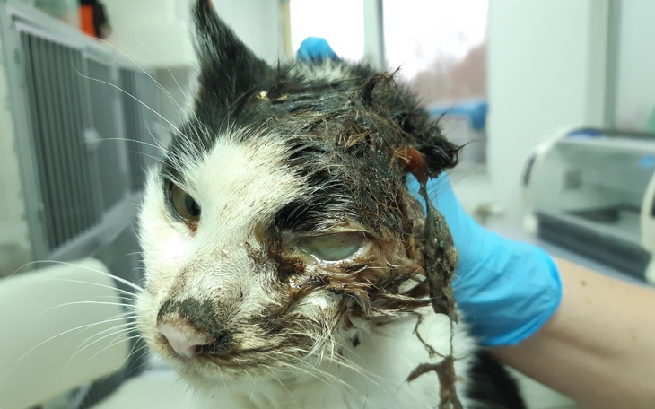 Zbiórka Zadra - zdjęcie główne