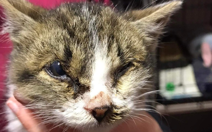 Zbiórka Czy to dobry czas - zdjęcie główne