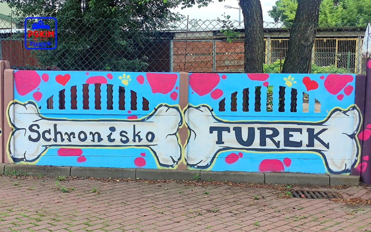 Mur z kolorowym graffiti, napis 'Schronisko Turek'.