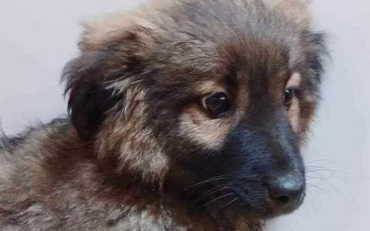 Zbiórka Zima w Kudłatej Przystani - zdjęcie główne