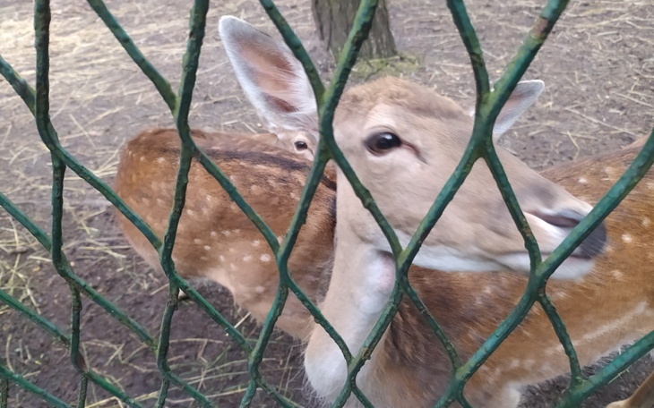 Zbiórka Zbieram na Wakacje 2021 - zdjęcie główne