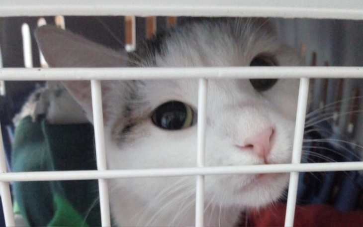 Zbiórka Całe życie w smarkach - zdjęcie główne