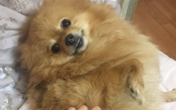 Zbiórka Chcę zostać milionerem - zdjęcie główne