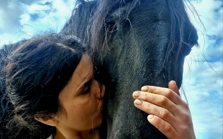 Zbiórka Przetrwanie azylu dla zwierzat - zdjęcie główne