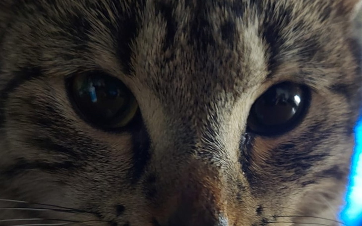 Zbiórka Dajmy Rockiemu szanse na życie - zdjęcie główne