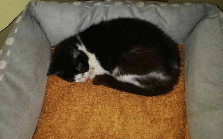 Zbiórka Na opłacenie rachunku za energię - zdjęcie główne