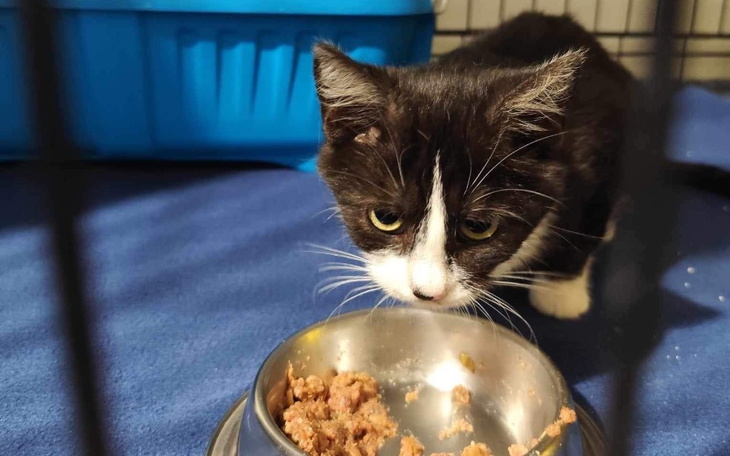 Zbiórka Nakarmić puste brzuszki - zdjęcie główne