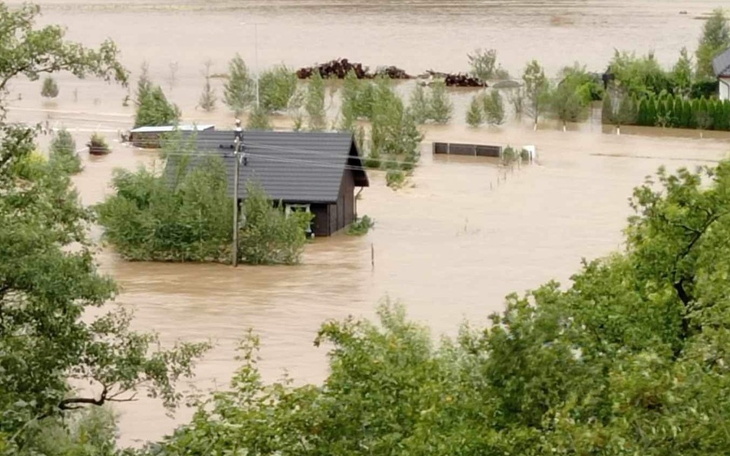 Zbiórka Odbudowa stajni w Krosnowicach - zdjęcie główne