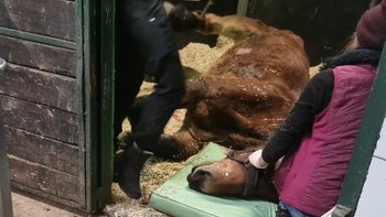 Zbiórka Ostatnia droga Basi - miniaturka zdjęcia