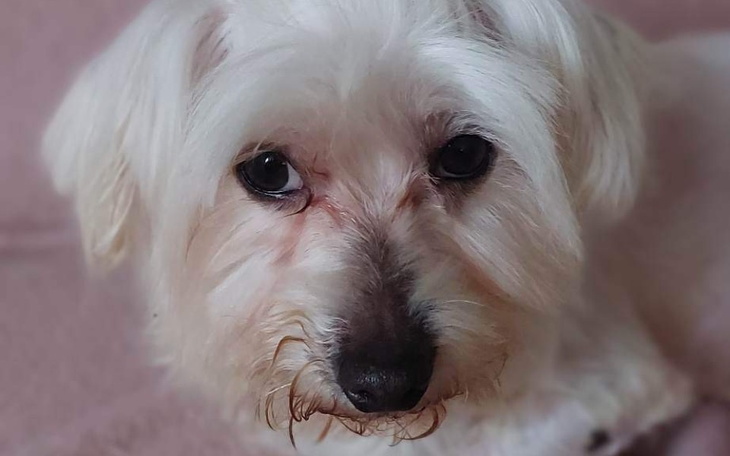 Zbiórka Bierzemy się za zdrowie Loki - zdjęcie główne