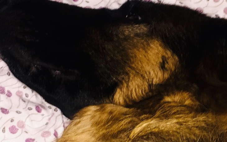 Zbiórka ARISa - zdjęcie główne