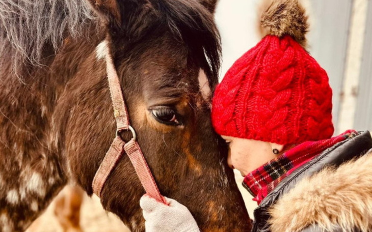 Mężczyzna z koniem, obaj z bliska, w przyjaznej interakcji.