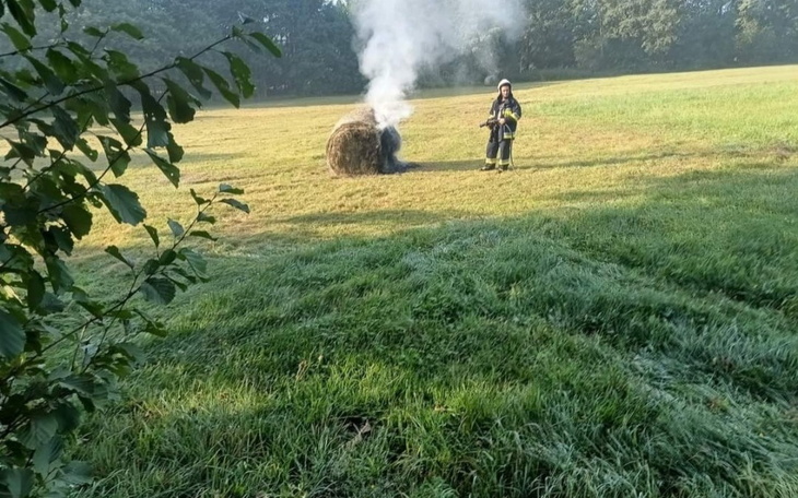 Zbiórka na SPALONE BELE SIANA - zdjęcie główne