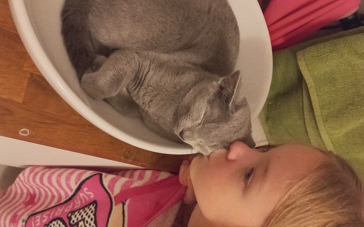 Zbiórka Zbiórka na leczenie Sheryla - zdjęcie główne