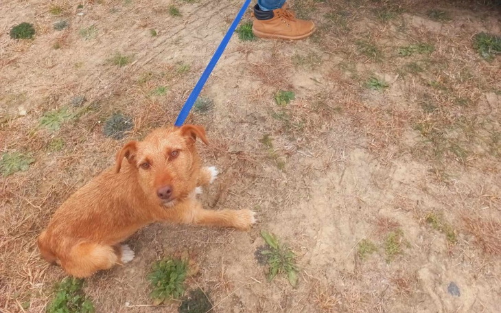 Zbiórka Uniknął krat - zdjęcie główne