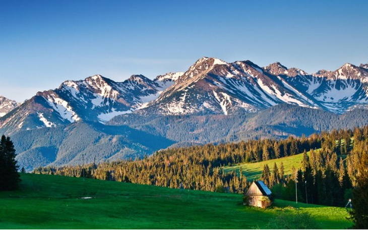 Zbiórka Zaręczyny w zakopanym - zdjęcie główne