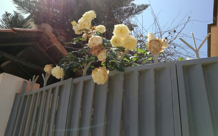 Zbiórka Nowy start i spłatę długu - zdjęcie główne