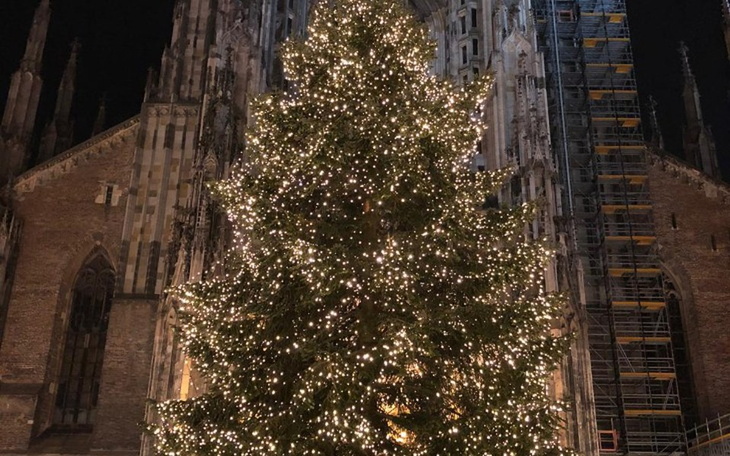 Zbiórka Na Święta oraz opał dla p. Zosi - zdjęcie główne