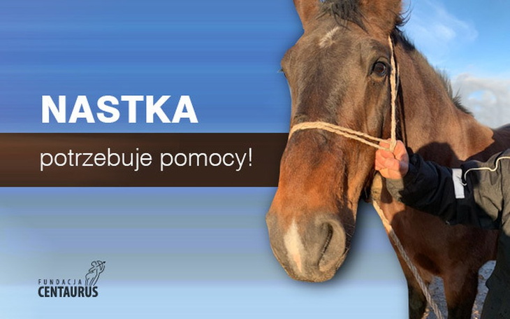 Zbiórka Nastka potrzebuje Twojej pomocy - zdjęcie główne