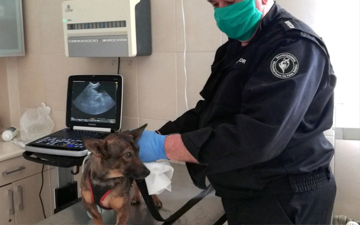 Zbiórka Pilna operacja przepukliny - zdjęcie główne