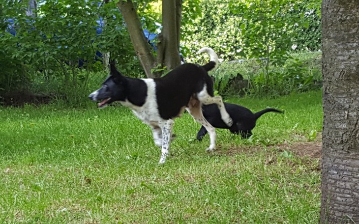 Zbiórka Ograniczenie płodności - zdjęcie główne