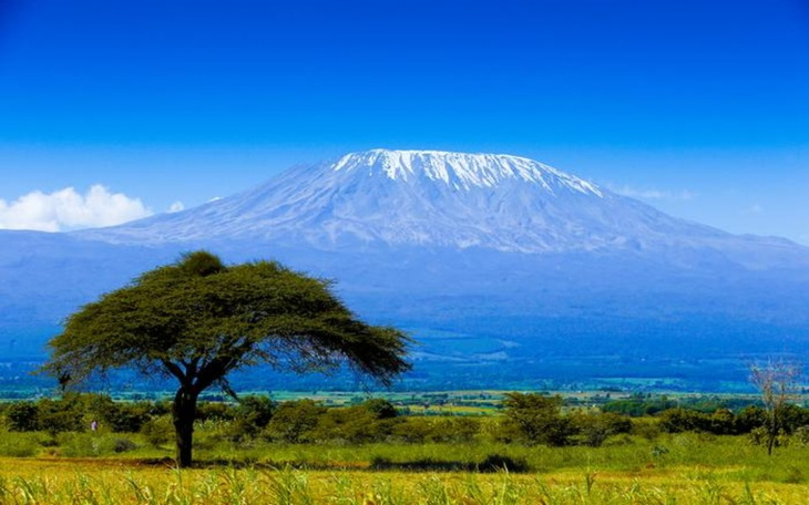 Zbiórka Z synem na Kilimandżaro - zdjęcie główne