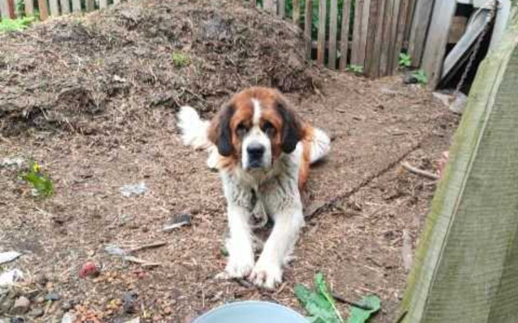 Zbiórka Zerwać łańcuch - zdjęcie główne