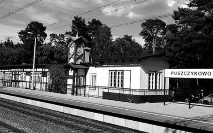 Zbiórka Tragedia w Puszczykowie:( - zdjęcie główne