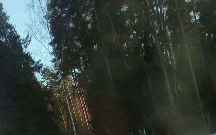 Zbiórka Zbieram na bazę - zdjęcie główne