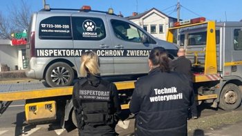 Zbiórka Ostateczna awaria naszego auta! - miniaturka zdjęcia