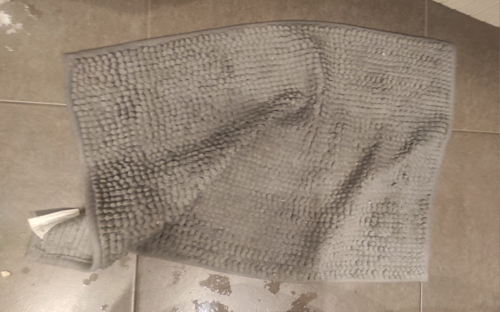 Zbiórka Dywan dla Arli - zdjęcie główne