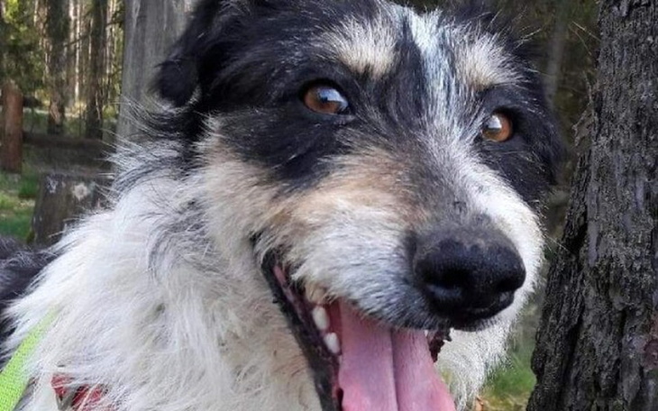 Zbiórka ...  NOWE  życie  PAPROTA ... - zdjęcie główne