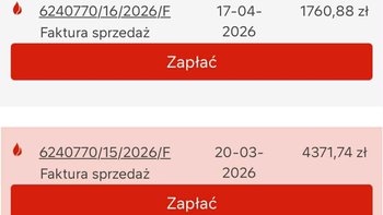 Zbiórka Dług blokuje ratowanie kotów - miniaturka zdjęcia