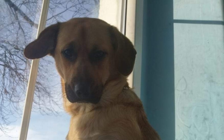 Zbiórka Nikodem i Aksa - zdjęcie główne