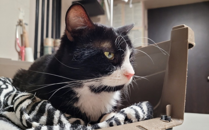 Zbiórka Bono prosi o pomoc - zdjęcie główne