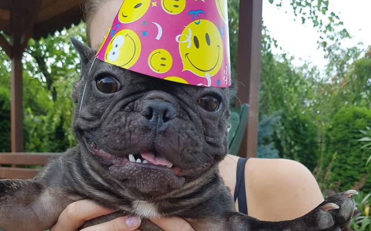 Zbiórka Dla Tiszy na Radioterapię - zdjęcie główne