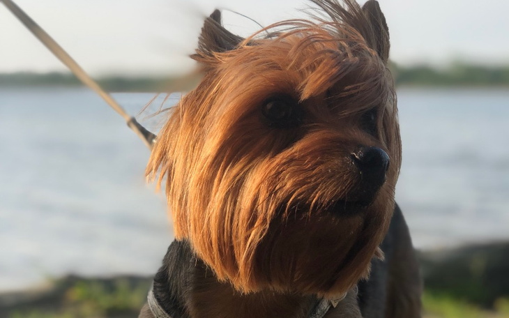 Zbiórka Zbiieram na wakacje - zdjęcie główne