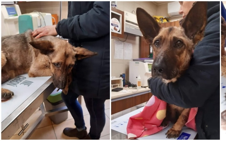 Zbiórka Umieram - Bezdomna Mona - zdjęcie główne