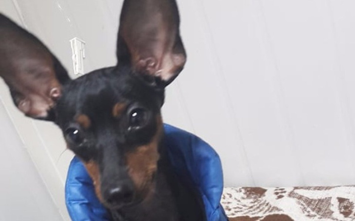 Zbiórka Wsparcie na leczenie Tomiego - zdjęcie główne