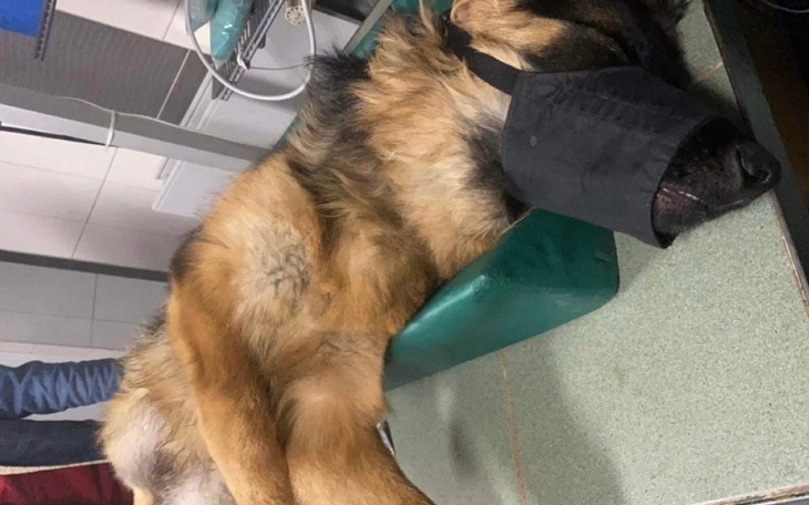 Zbiórka Pomóżmy Alexowi dalej biegać - zdjęcie główne