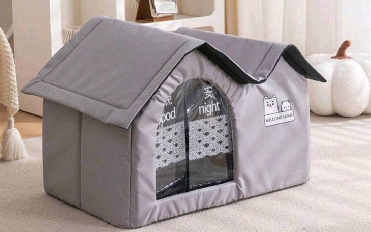 Zbiórka Schronienie na zimę dla kotków - zdjęcie główne