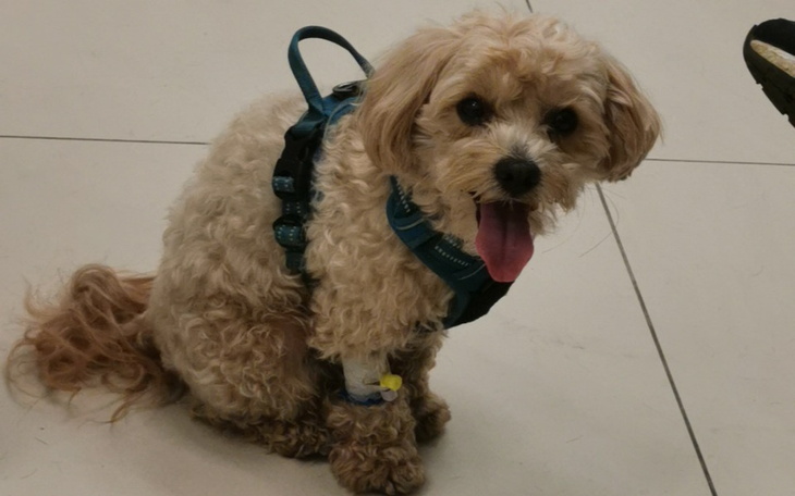 Zbiórka operacja Spajka - zdjęcie główne