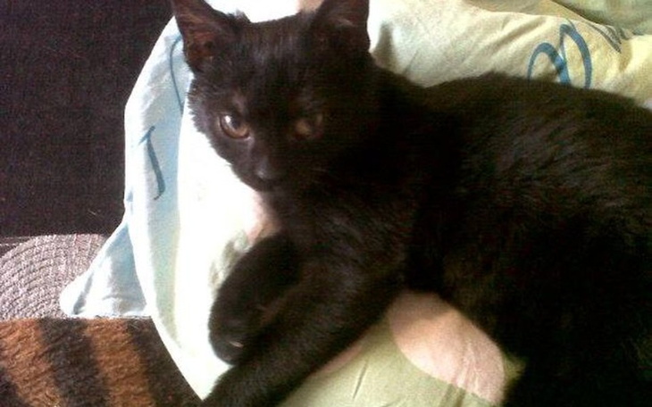 Zbiórka Nowy start, lepsza przyszłość - zdjęcie główne